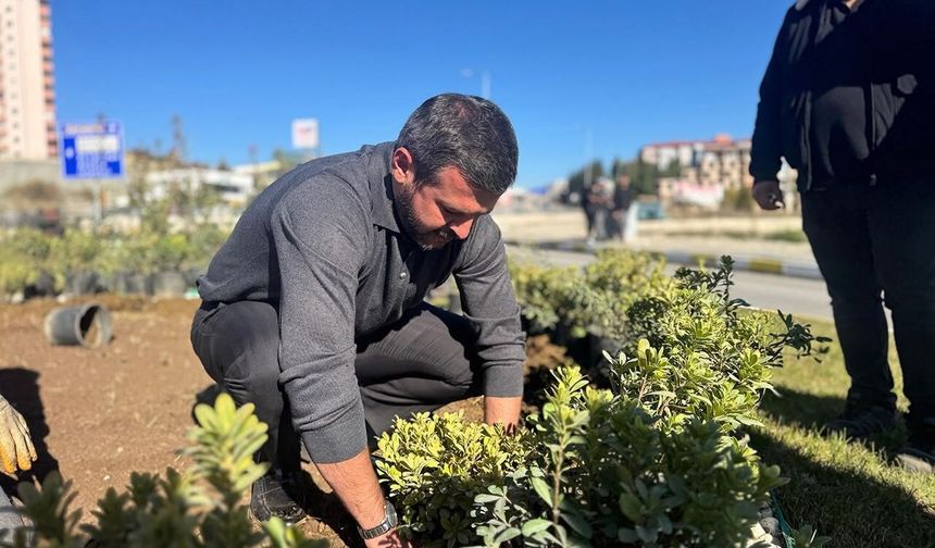 Karabük'te yeşil seferberlik: 58 bin ağaç ve çiçek toprakla buluştu