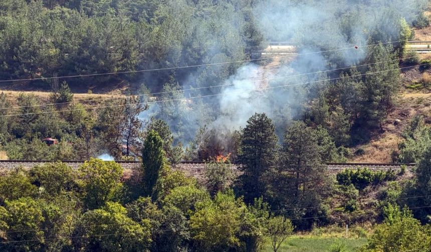 Tren raylarında çıkan yangın büyümeden söndürüldü