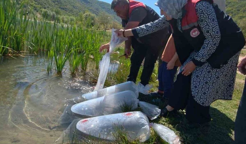 Karabük'teki göletlere 105 bin yavru balık bırakıldı