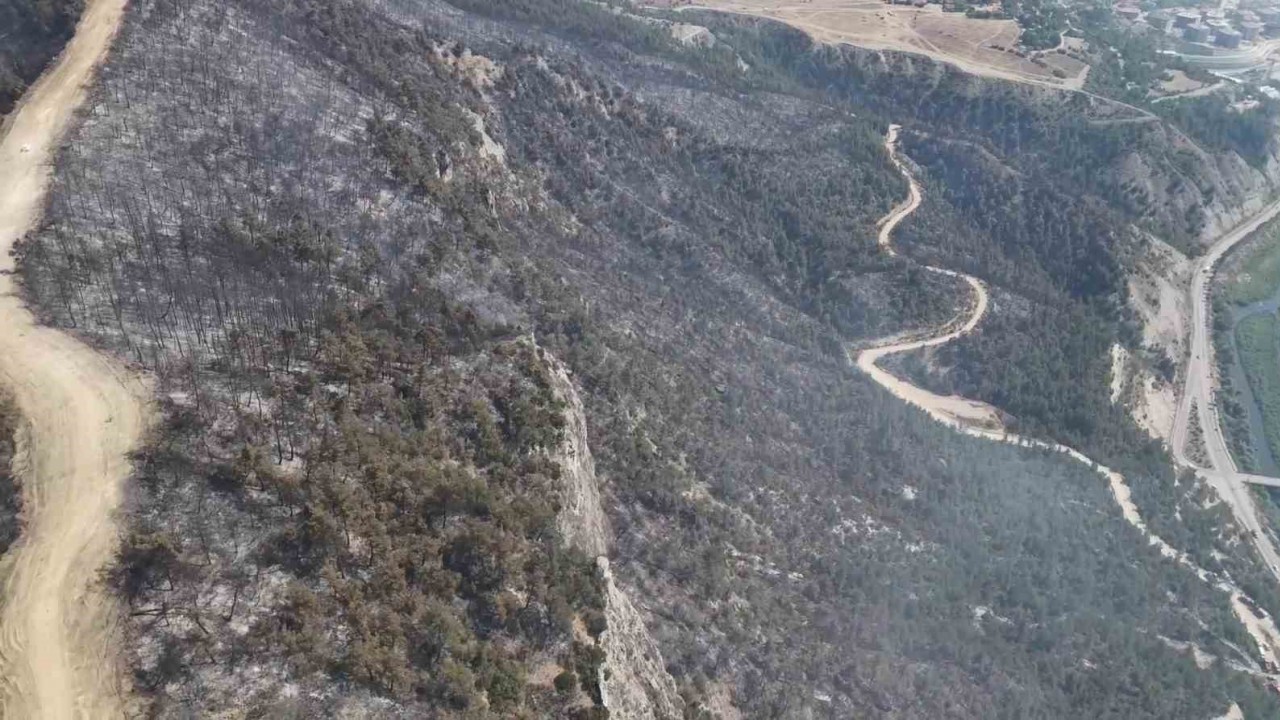 Orman yangınında zarar gören alanlar dronla görüntülendi