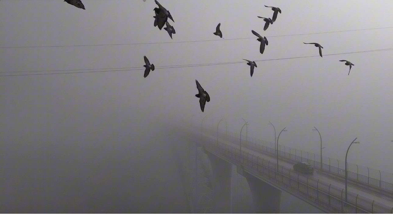 Yoğun sisten kaybolan yapılar dronla görüntülendi